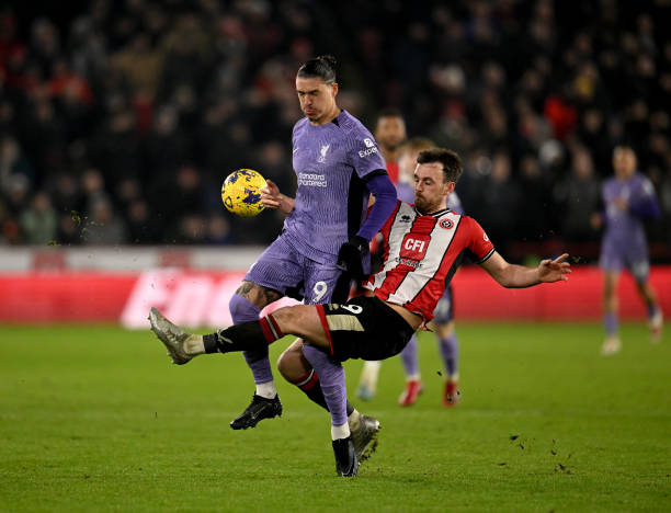 全球知名的 全球知名的